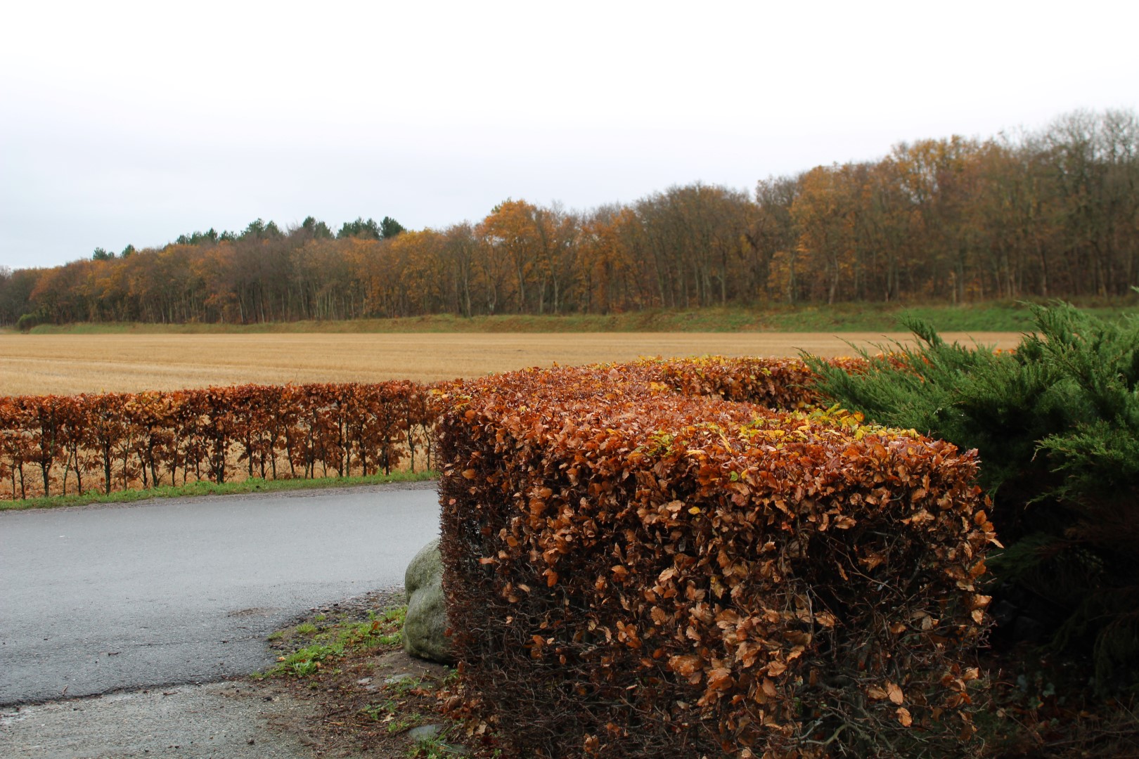 CultuurHistorisch Genootschap Duin- & Bollenstreek