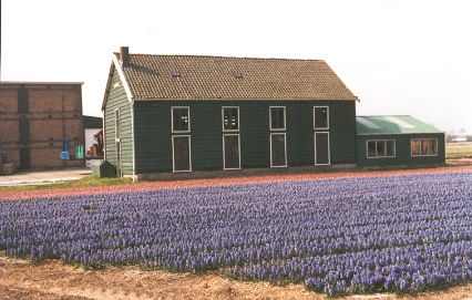 CultuurHistorisch Genootschap Duin- & Bollenstreek