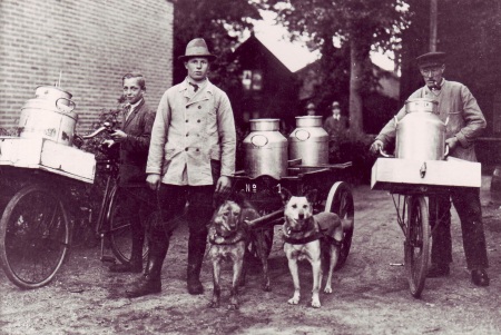 CultuurHistorisch Genootschap Duin- & Bollenstreek