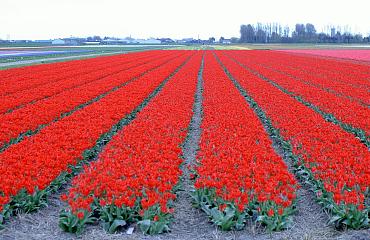 Zilkerbinnenweg 14 e.o. Noordwijk.