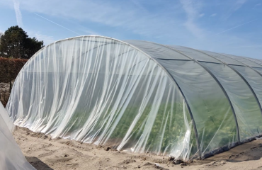 Akervoorderlaan (naast nr. 40), Teylingen; tunnelkassen zorgen voor verdere verrommeling