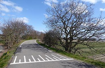 CHG fel gekant tegen woningbouw op toplocatie aan Veenenburgerlaan te HillegomNieuws 10 augustus 202