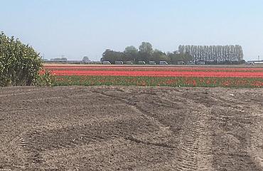  CHG verzet zich tegen woningbouw in lint aan Zilkerbinnenweg te Noordwijkerhout