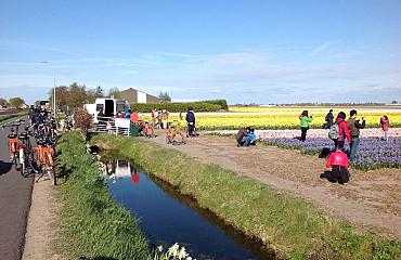 Pleidooi voor brede herwaardering op lintbebouwing in de Duin- en Bollenstreek