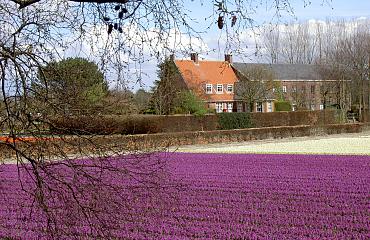 CHG wijst bestemmingswijziging en sloop bollenschuur De Wolff Lisse af